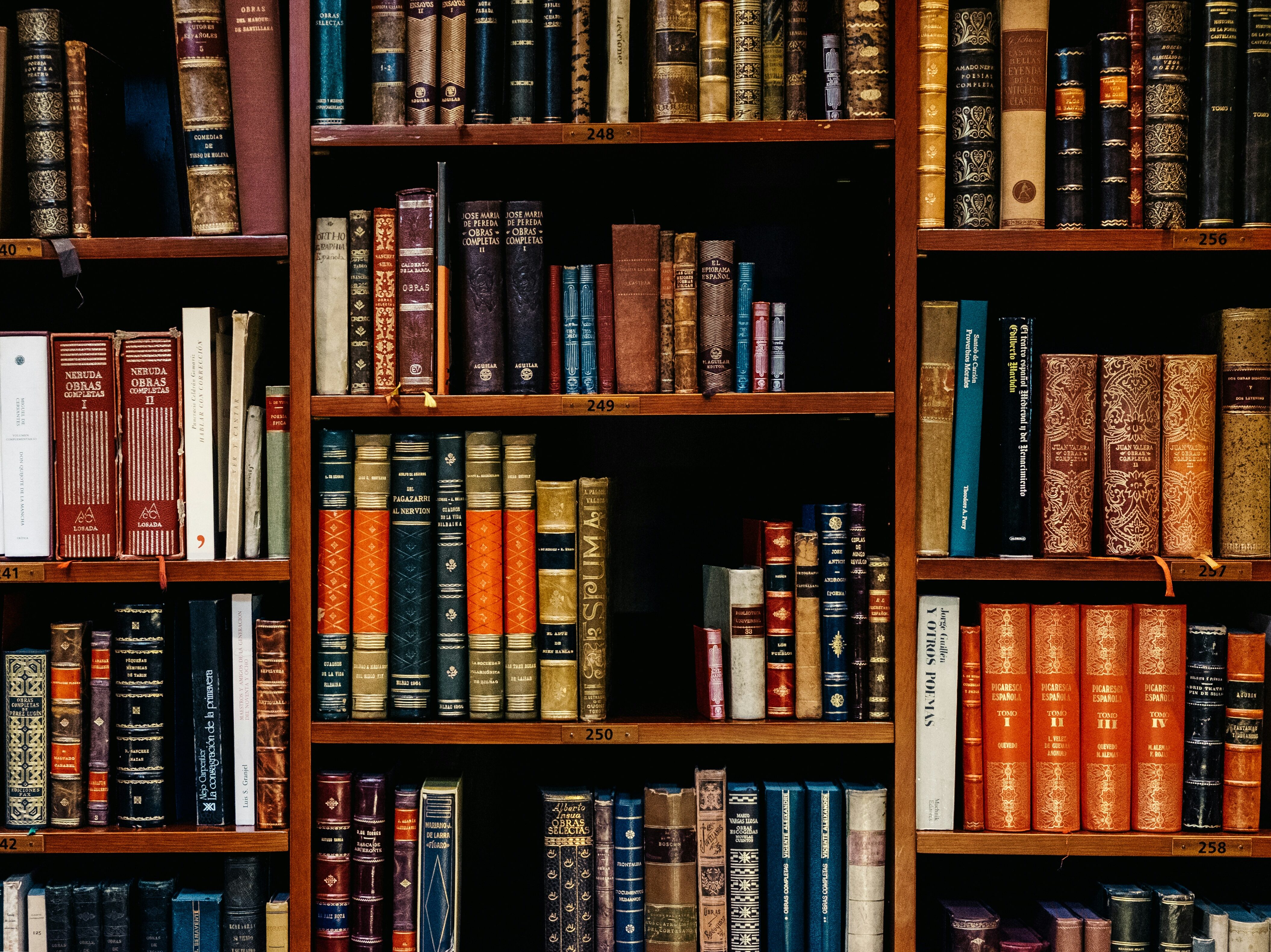 Library Shelves